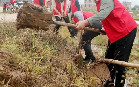 周矶管理区红旗社区：清淤疏渠解民忧 筑牢农耕保障线