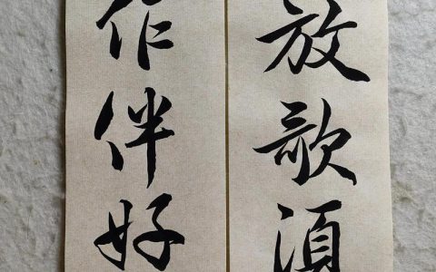 青春作伴好还乡