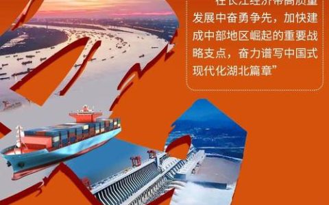 勇当龙头敢追一流，扛牢建设大武汉重任——省两会代表委员热议为支点建设担当作为