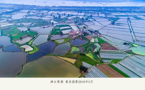 浠水：以生态行动 绘就策湖湿地美丽画卷