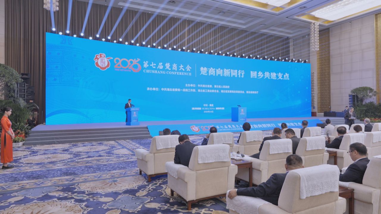 起草组专家权威解读：“十五五”开局之年，湖北这样干！