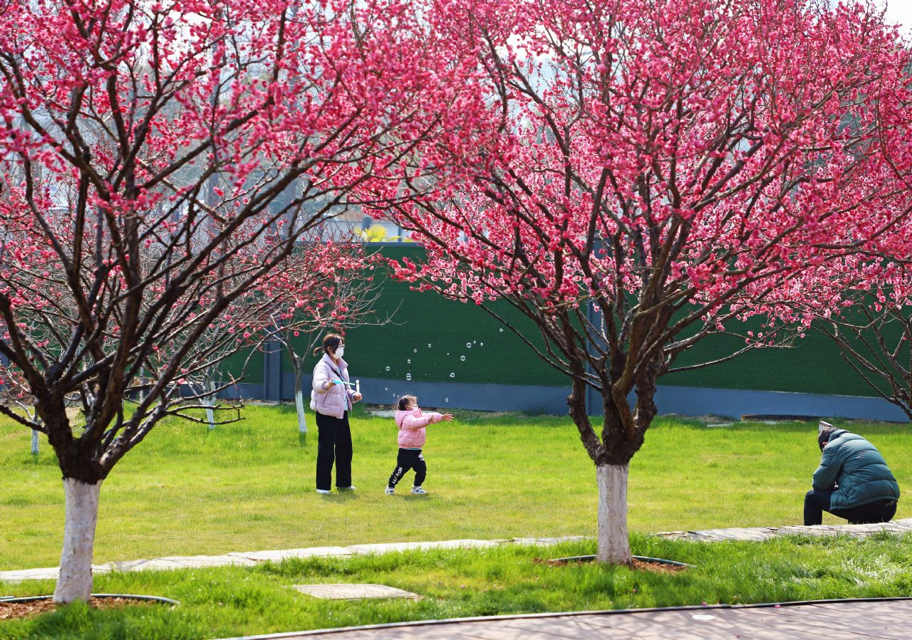 起草组专家权威解读：“十五五”开局之年，湖北这样干！