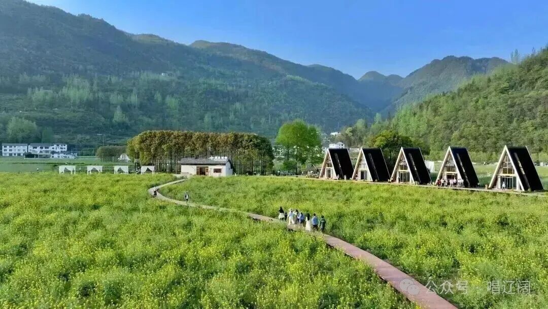 八个字，看湖北改革创新系列行动