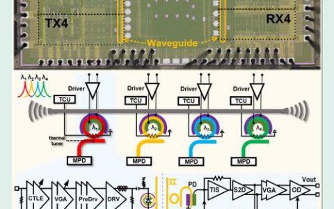 集成电路学院谭旻团队单片集成光电融合芯片获重要成果