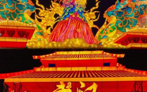 武汉最大灯会亮灯了！持续到3月