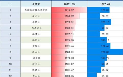 武汉2025年GDP公布