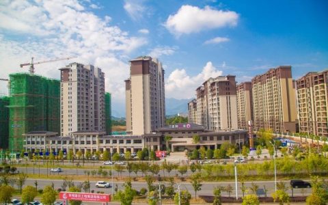 总投资3.2亿元 恩施市金子坝街道一次签约落地两大项目