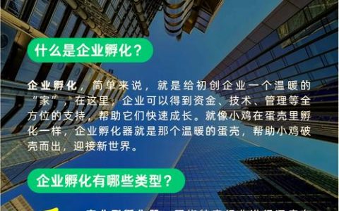 走好走稳梯度培育之路，四大产业集群总产值突破900亿元  小企业集结成群　大产业聚光成炬