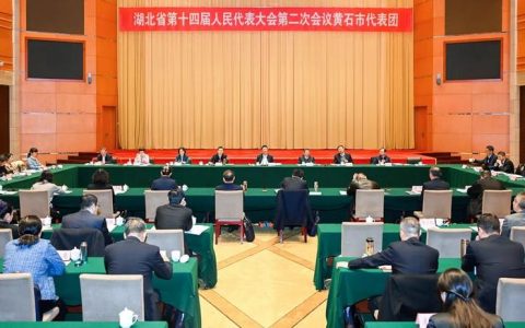 黄石代表团继续审议省政府工作报告