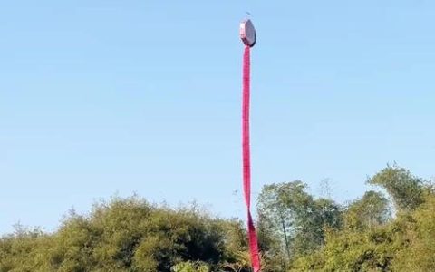 无人机升空，“飞哥”让阳新美出圈