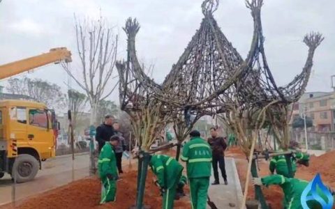 蕲春四路延伸线生态停车场建成开放