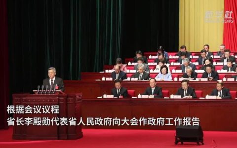 湖北两会引国际友人共鸣