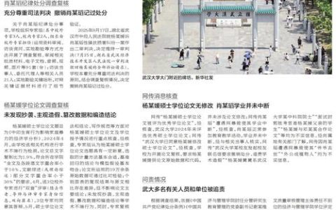 两会观察｜大武汉 何以为“大”