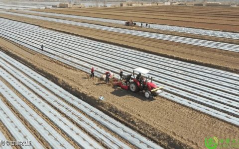 赤壁推广先进地膜应用技术和回收模式