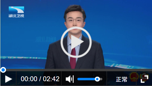 两会观察｜大武汉 何以为“大”