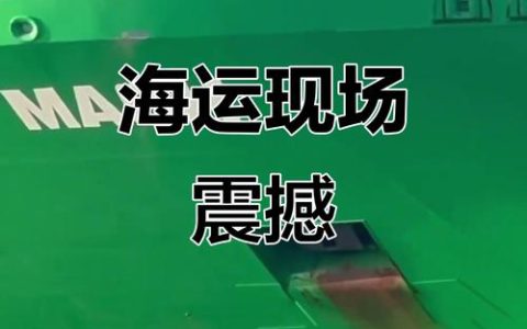 “海上钻石”顺利启航！2万吨绿色巨轮武汉交付