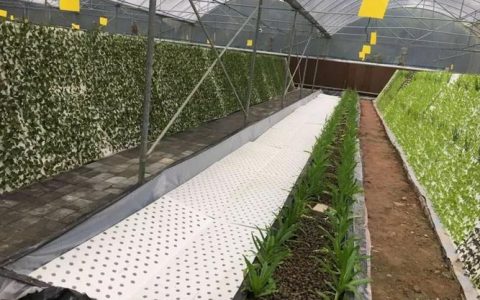 健坤高分子材料绿色循环 “塑”造新生