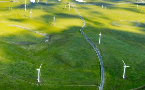 用电突破200亿度，“绿电”占比攀升！看黄石如何实现增长与低碳双赢