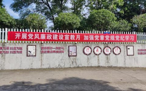 “精度”保公平   “温度”凝共识 通城县石南镇干群共筑“连心路”