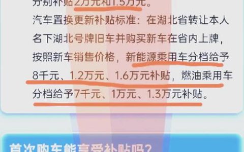 新春消费季启动 43款武汉品牌车型享优惠补贴