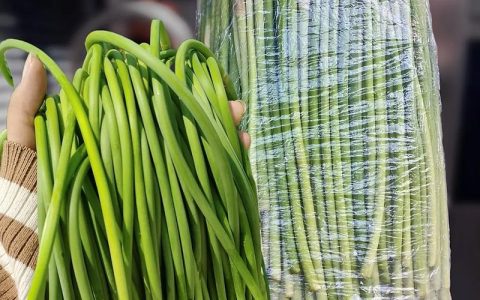 头茬蒜薹上市每公斤超40元 本地蒜薹预计3月底大量上市