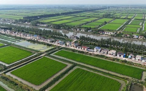 潜江市农田基础设施提质升级项目（白鹭湖及运粮湖片区）施工接近尾声