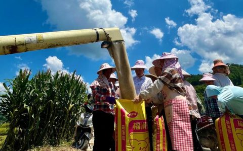 老新镇：科技抗寒护苗情 田间地头保丰收