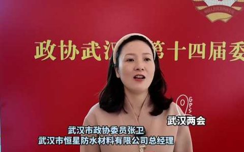 城市“上新记” 跟着代表委员看武汉