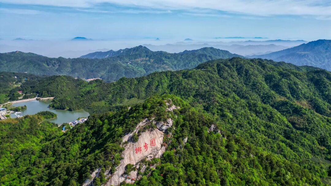 项目筑基、体验焕新，黄梅全域文旅启新程