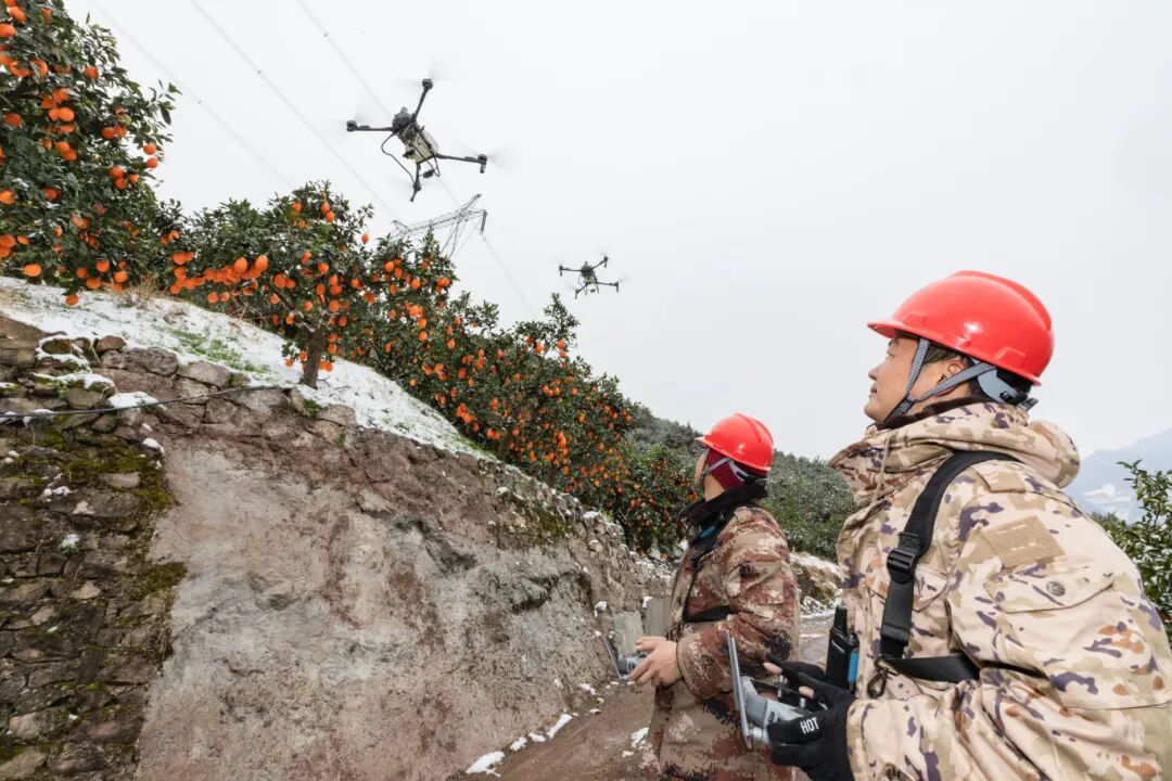 智慧种橙，秭归脐橙的“科技密码”