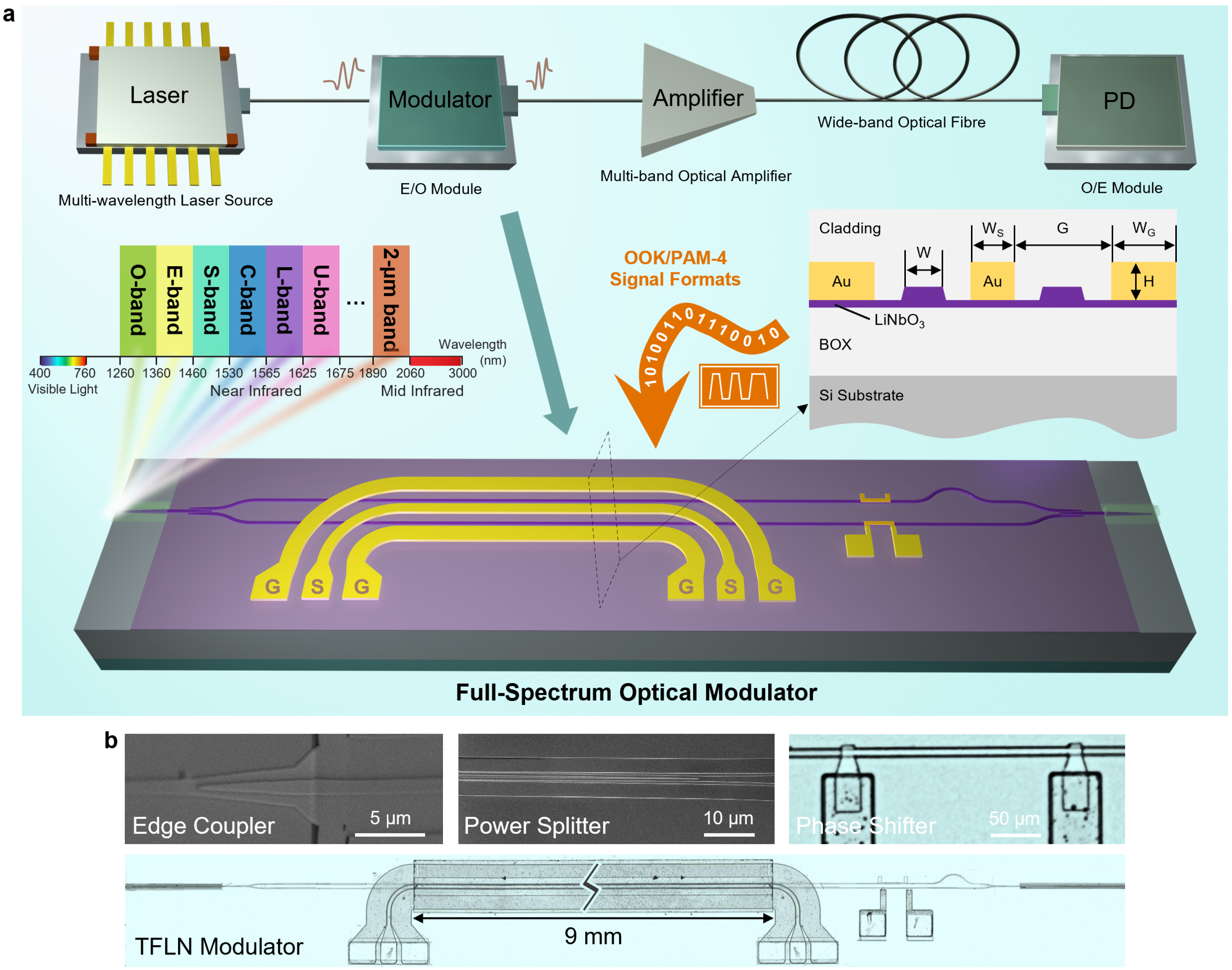 武汉光电国家研究中心研制出800nm超宽带薄膜铌酸锂高速电光调制器