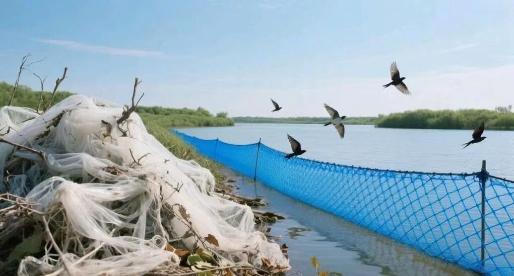 碧水清流映潜城——潜江“十四五”时期生态环境治理纪实