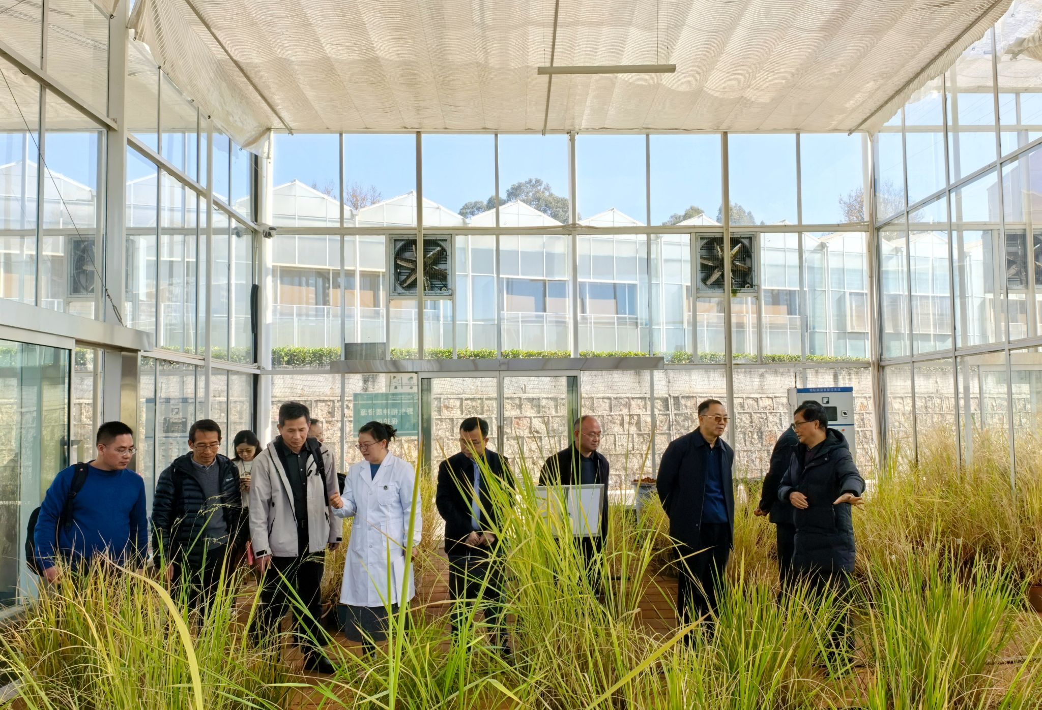 张启发院士带队赴云南省农科院调研交流