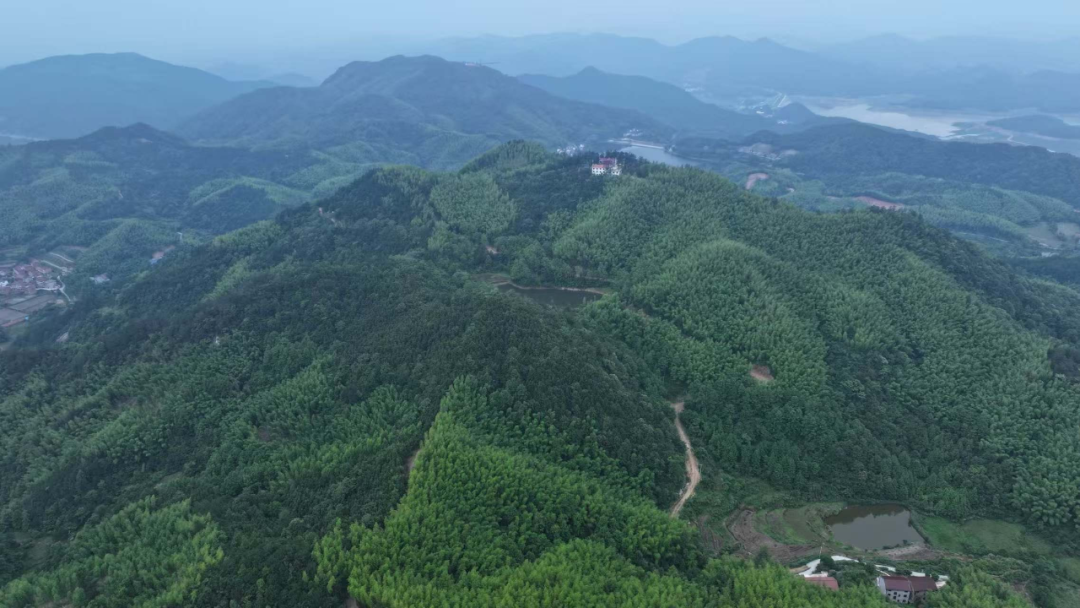 解锁西游“原乡”！武穴5.88亿文旅项目出圈