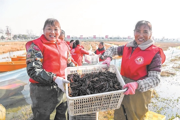 [荆楚网]潜江龙虾冬捕开始 快来打卡冬天第一顿小龙虾