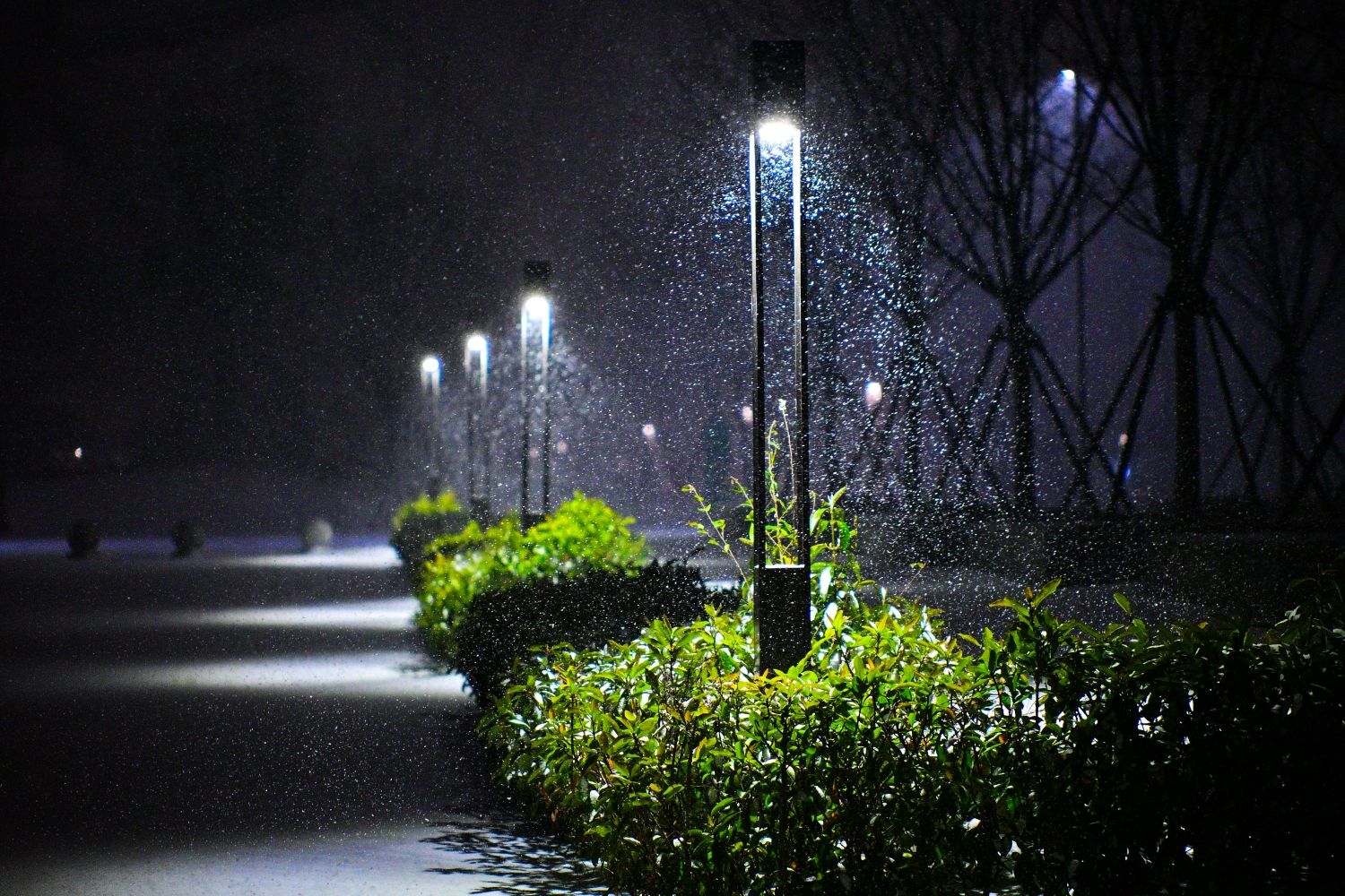 襄阳书院：师生同心打赢积雪“歼灭战”