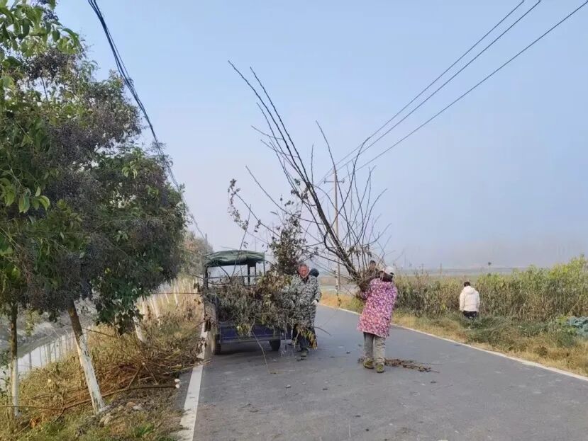 老新镇整治路域环境 道路畅安舒美庆新年