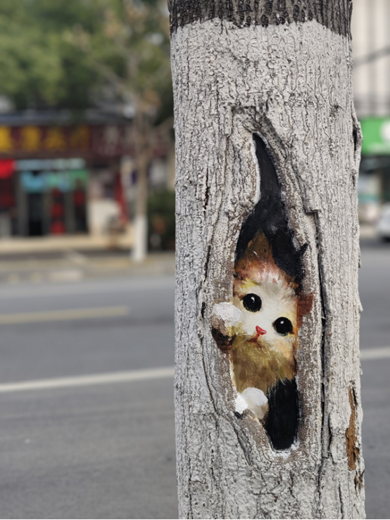 潜江：树洞彩绘赋新颜 精细化治理暖民心