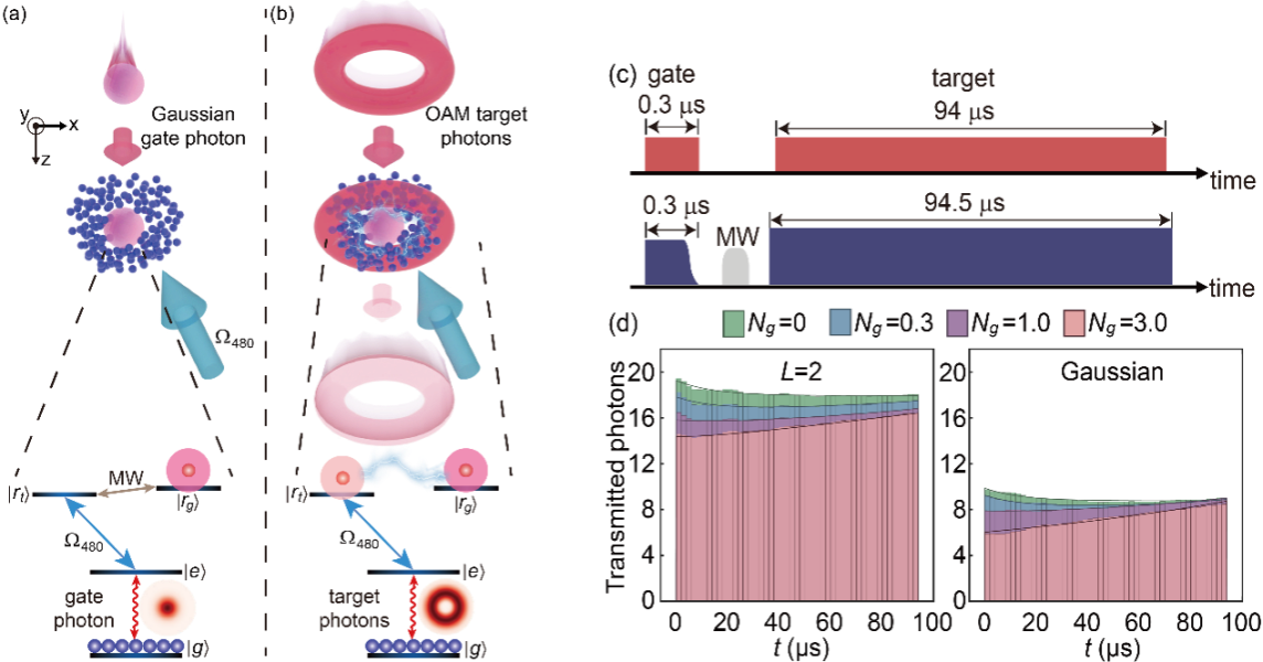 国家精密重力测量科学中心、物理学院引力中心李霖教授团队在里德堡原子光量子操控领域取得进展