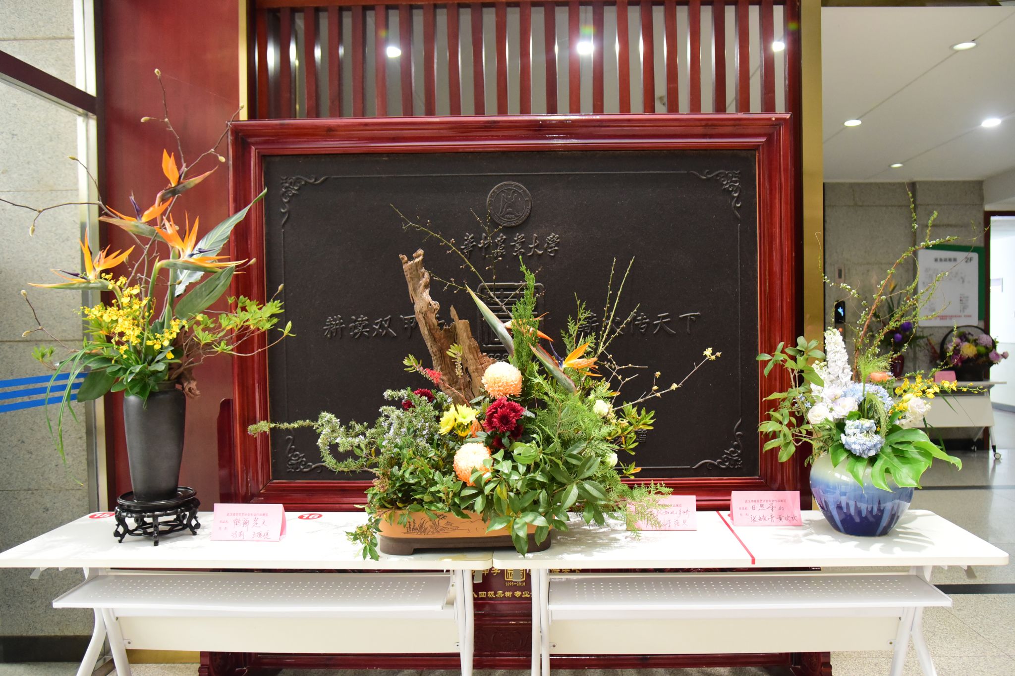 融汇智创 绽放芳华：2025武汉市插花花艺协会首届学术年会在华中农业大学举行