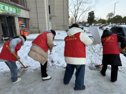 园林街道：返乡学子践初心 基层一线显担当