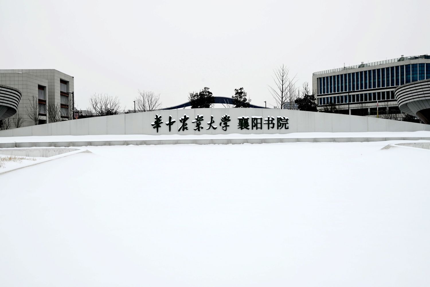 襄阳书院：师生同心打赢积雪“歼灭战”