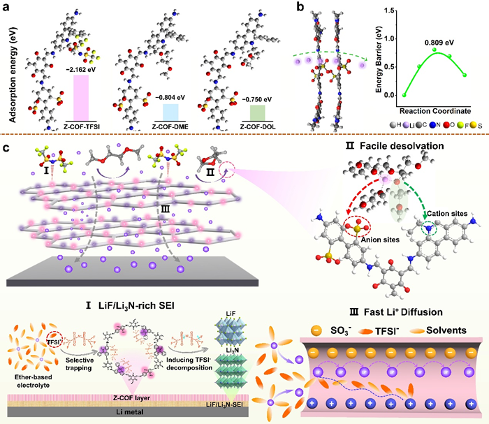梅涛教授团队在锂金属电池领域取得进展