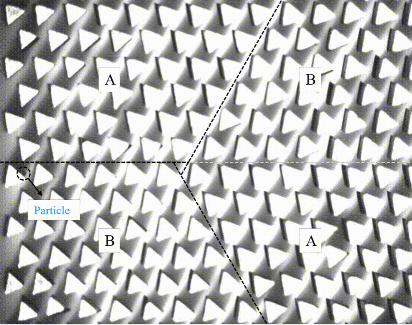 物理学院祝雪丰教授团队在全平带高阶声拓扑和超声拓扑声镊等方面取得重要进展
