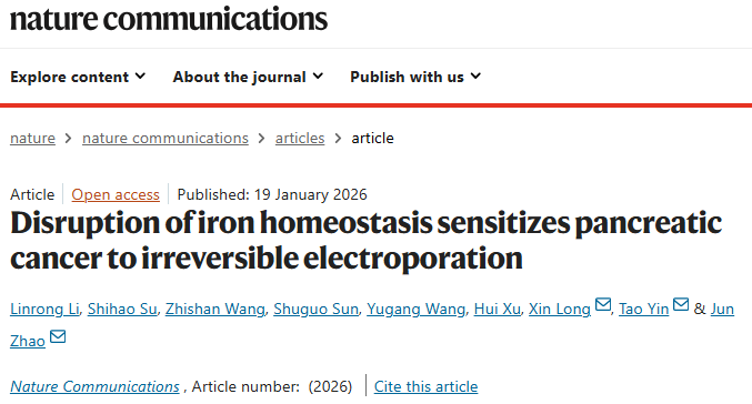 基础医学院赵俊附属协和医院殷涛团队在胰腺癌治疗研究取得新成果