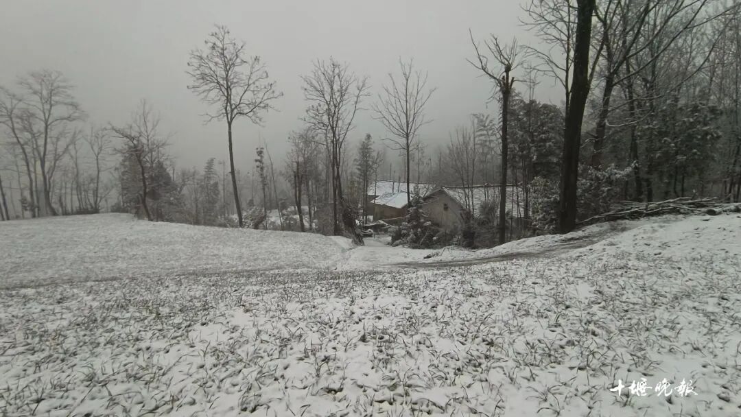 十堰下雪啦!