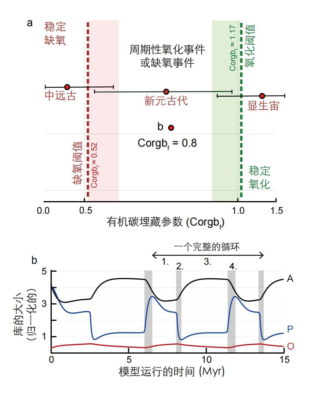 【光明日报客户端】科学家首次揭示五亿多年前海洋氧化的周期性机制
