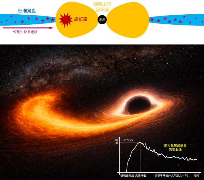 物理学院吴庆文教授课题组黑洞极端爆发领域获进展
