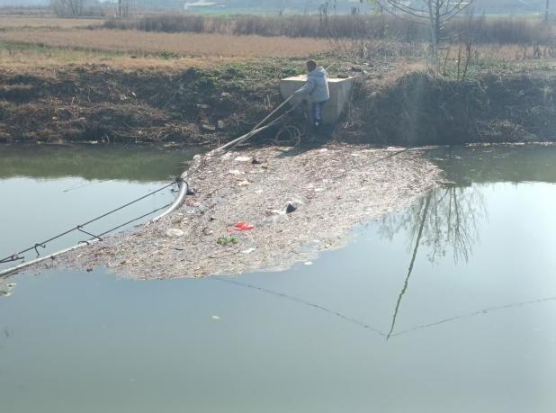 泰丰街道靶向发力整治农村人居环境