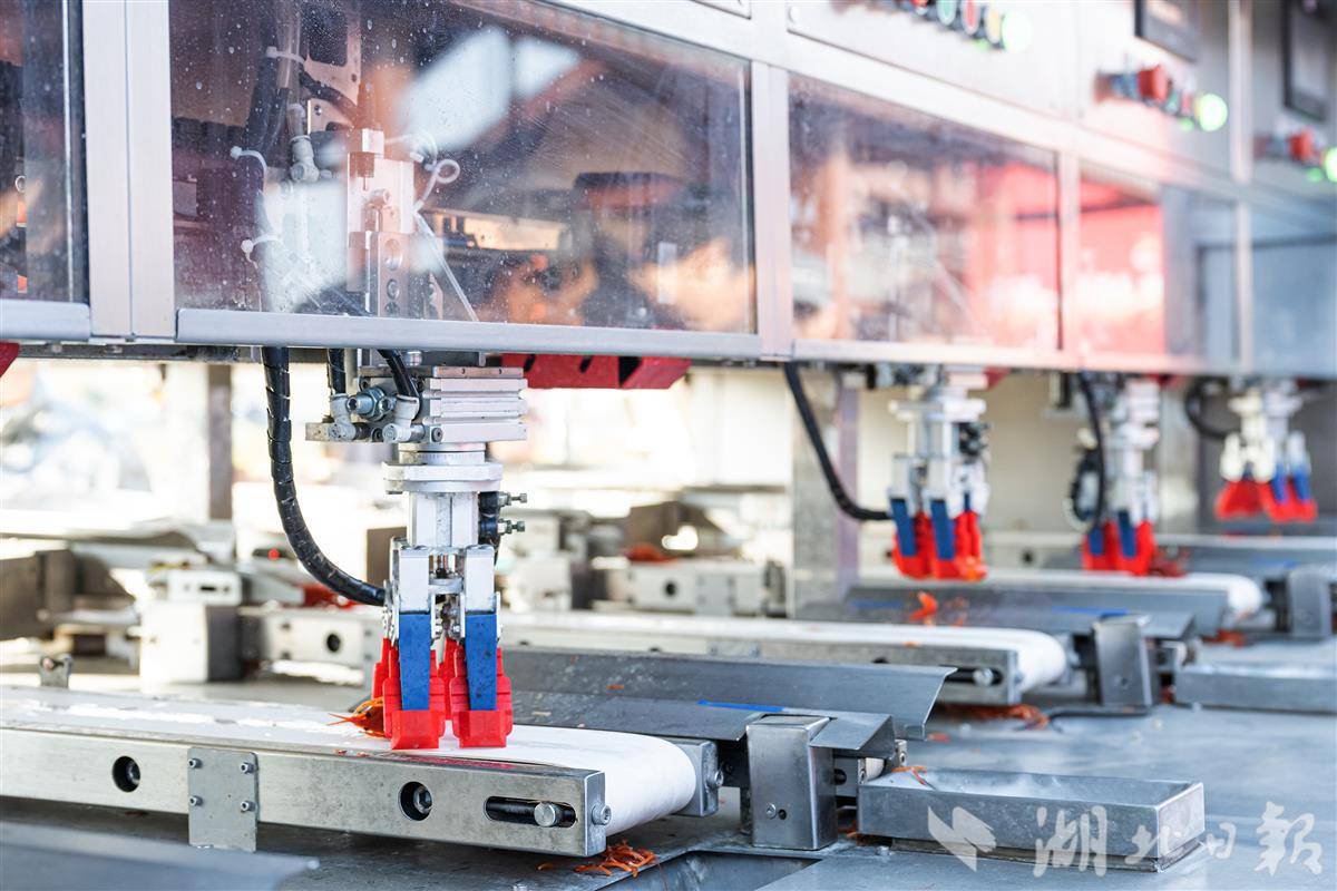 [荆楚网]1.7秒剥完一只虾，这台剥虾机顶18个熟练剥虾工